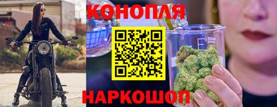 стаф Краснодар