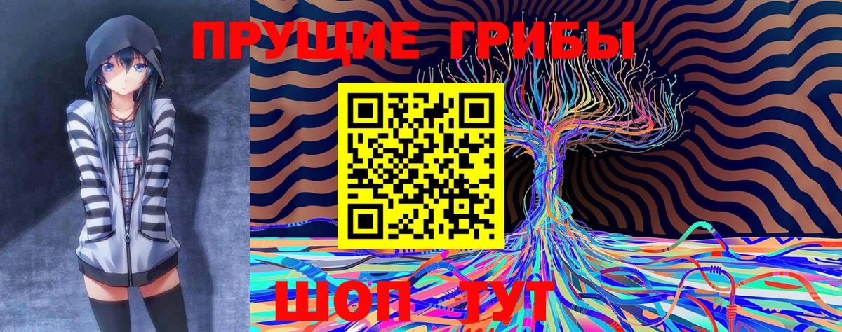 Галлюциногенные грибы Psilocybe Армавир
