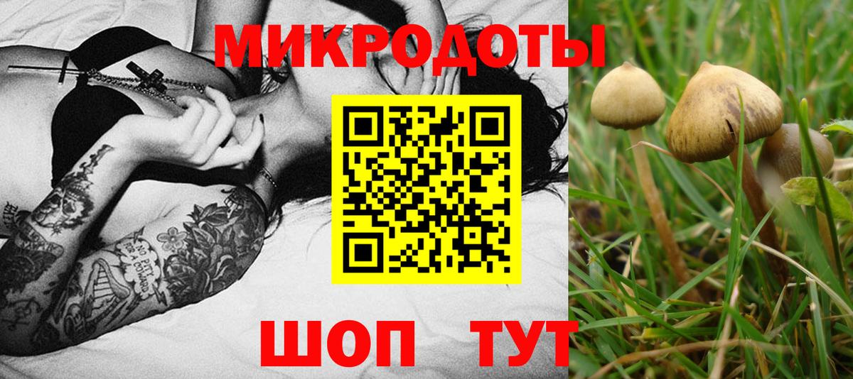 Псилоцибиновые грибы Psilocybine cubensis  Вход с VPN  Армавир 